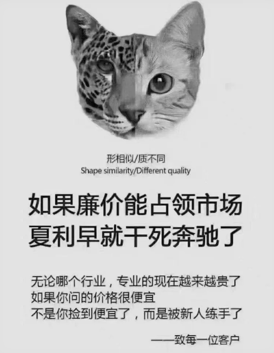 1765851285616042.png image.png