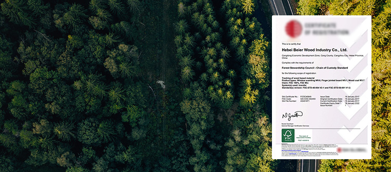 FSC森林认证 FSC森林认证